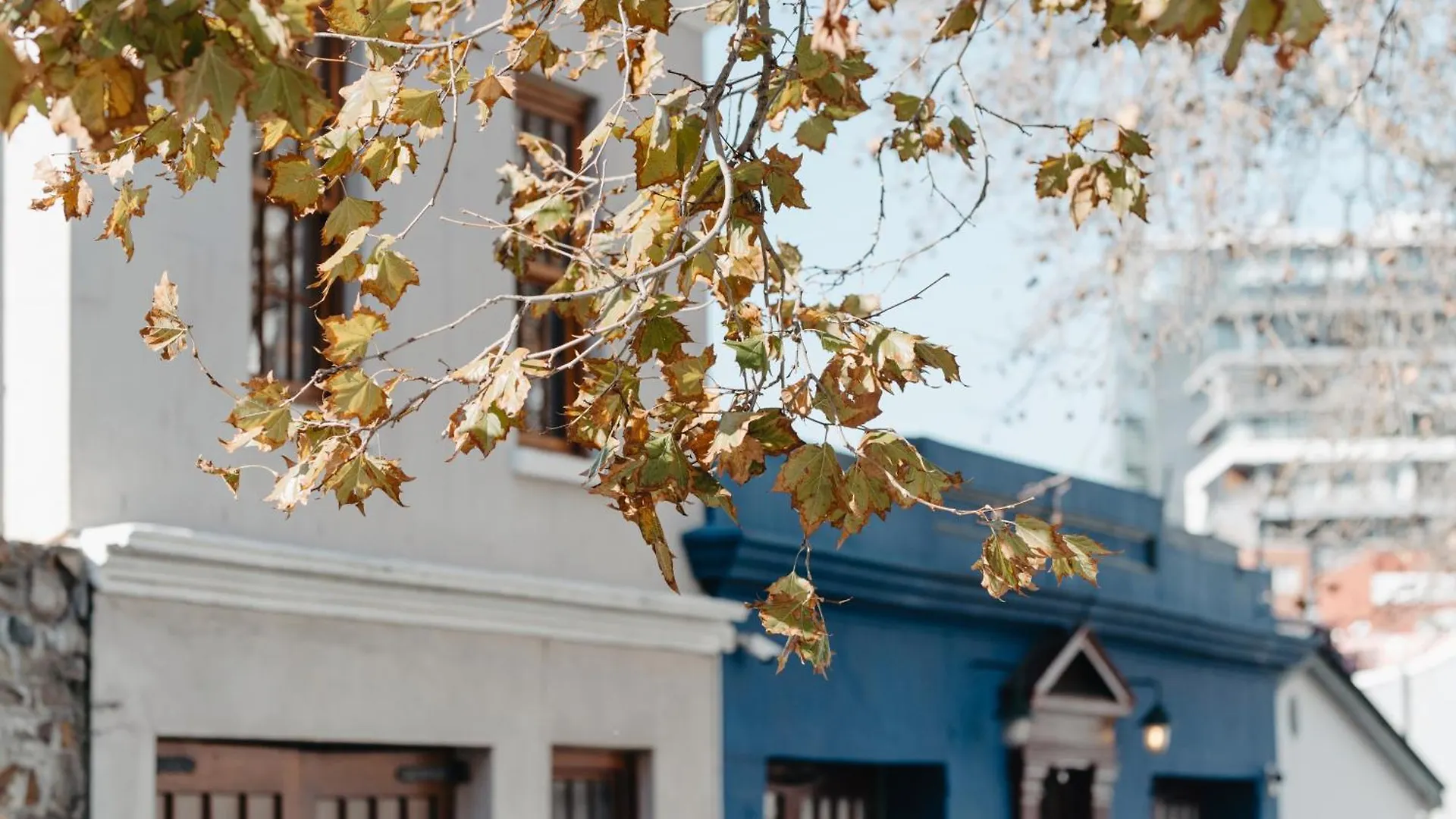 Cape Finest Guest House Located In De Waterkant Cape Town 4*,  South Africa