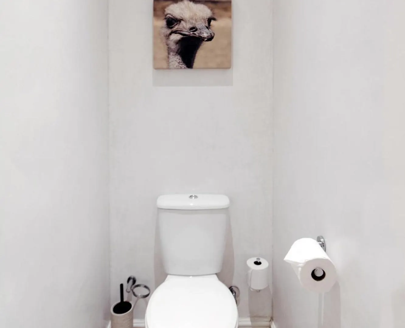 Cape Finest Guest House Located In De Waterkant Cape Town 4*,